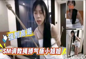 强制高潮SM调教绳缚气质小姐姐