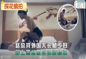 精选探花-约操大长腿黑丝极品少妇海报