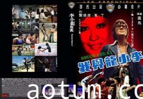 李小龙与我海报