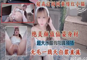 超高订阅网黄绯红小猫绝美颜值仙姿身材,超大水晶假阳具抽插无毛一线天白浆直流