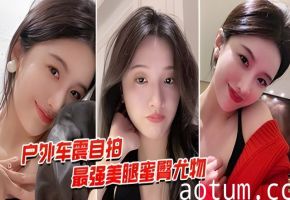 户外车震自拍最强美腿奎臀尤物