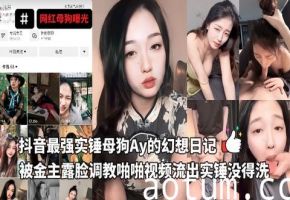 抖音最强实锤母狗Ay的幻想日记，被金主露脸调教啪啪视频流出实锤没得洗