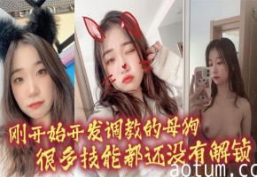 极品母狗调教实录 爆操开发骚穴解锁新姿势