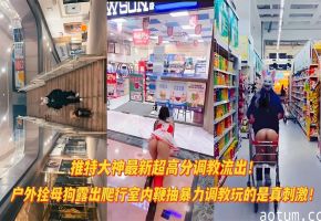 【最新流出超震撼大神作品】户外爬行露出双母狗室内调教海报