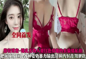推特泄密爆乳人妻情趣内衣偷情爆操淫叫内射高潮潮吹海报