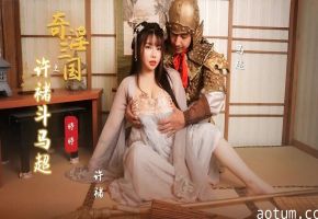 婷婷奇淫三国之许褚斗马超