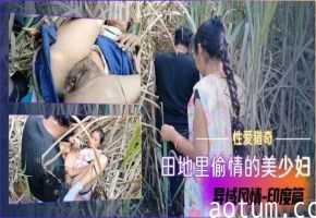 【性爱猎奇】田地里偷情的美少妇