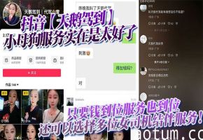天鹅驾到！小母狗女司机结伴服务，钱到位群P内射任你玩