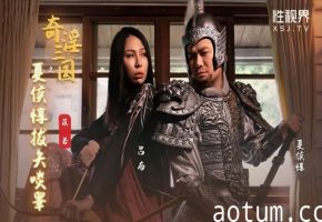 苡若奇淫三国之夏俠惇拨矢啖畢