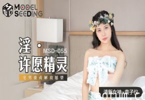袁子仪MSD055淫许愿精灵