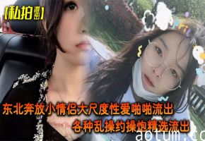 东北豪放情侣私拍泄密！极品骚货完美露脸狂操内射精选合集