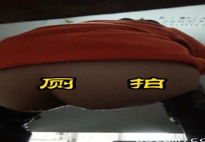 厕拍皮裤人妻放尿偷拍探花李寻欢