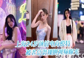 上海24岁极品模特 被老总潜规则巨乳内射偷拍流出