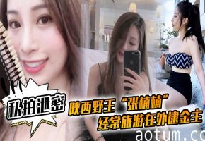 陕西野王张楠楠街头猎金主 豪车口交爆操车震泄密